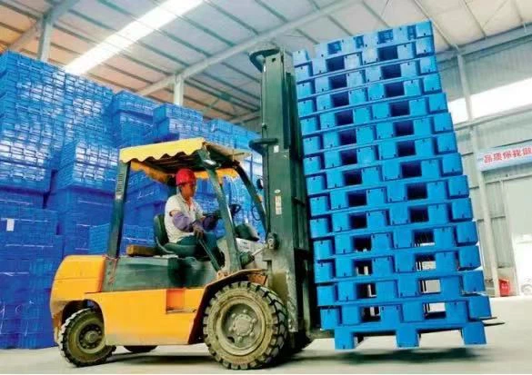ทบทวนการพัฒนาตลาดพาเลทของจีนในปี 2564
